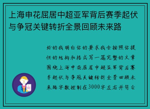 上海申花屈居中超亚军背后赛季起伏与争冠关键转折全景回顾未来路