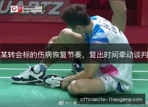 某转会标的伤病恢复节奏，复出时间牵动谈判